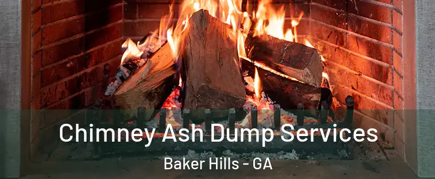 Chimney Ash Dump Services Baker Hills - GA