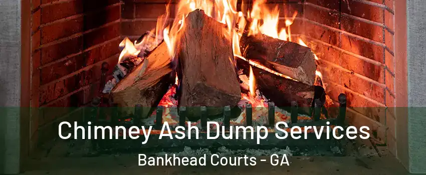 Chimney Ash Dump Services Bankhead Courts - GA