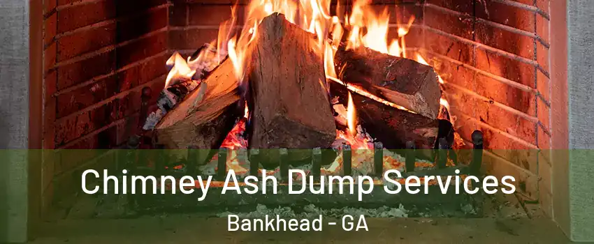 Chimney Ash Dump Services Bankhead - GA