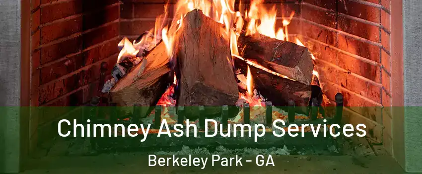Chimney Ash Dump Services Berkeley Park - GA