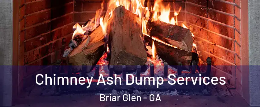 Chimney Ash Dump Services Briar Glen - GA