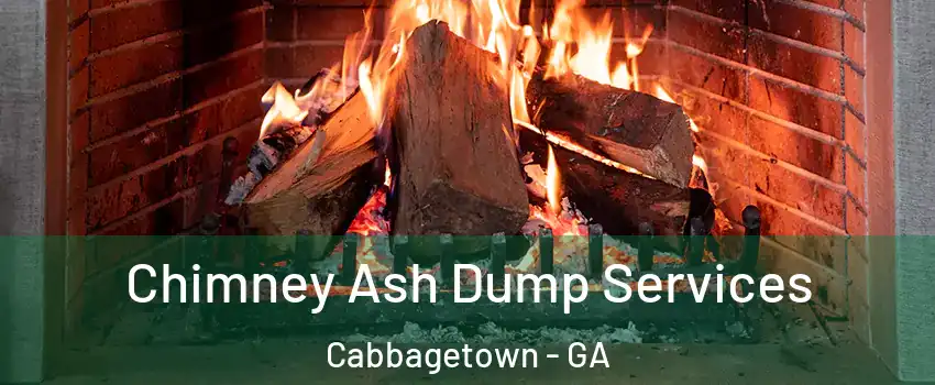 Chimney Ash Dump Services Cabbagetown - GA