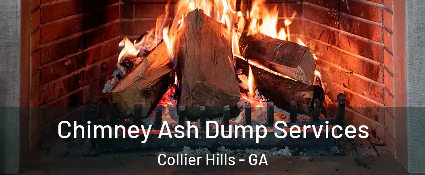 Chimney Ash Dump Services Collier Hills - GA