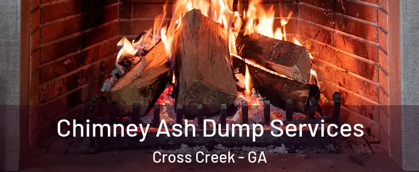 Chimney Ash Dump Services Cross Creek - GA