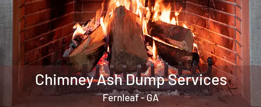 Chimney Ash Dump Services Fernleaf - GA