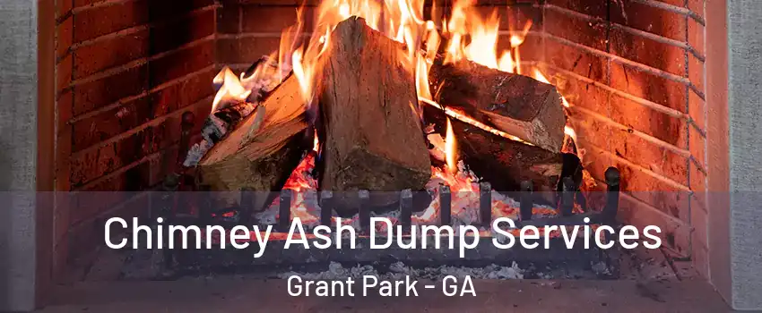 Chimney Ash Dump Services Grant Park - GA