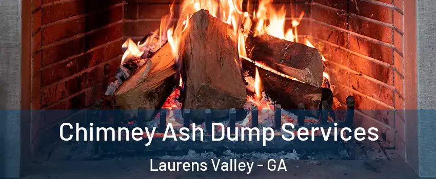 Chimney Ash Dump Services Laurens Valley - GA