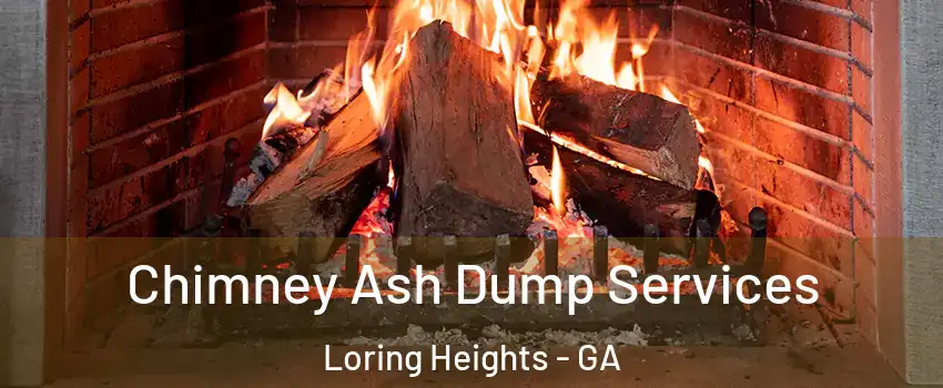 Chimney Ash Dump Services Loring Heights - GA