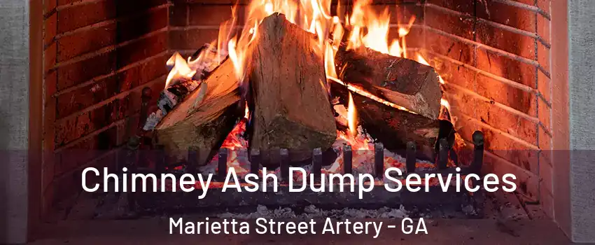 Chimney Ash Dump Services Marietta Street Artery - GA