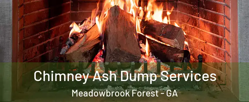 Chimney Ash Dump Services Meadowbrook Forest - GA