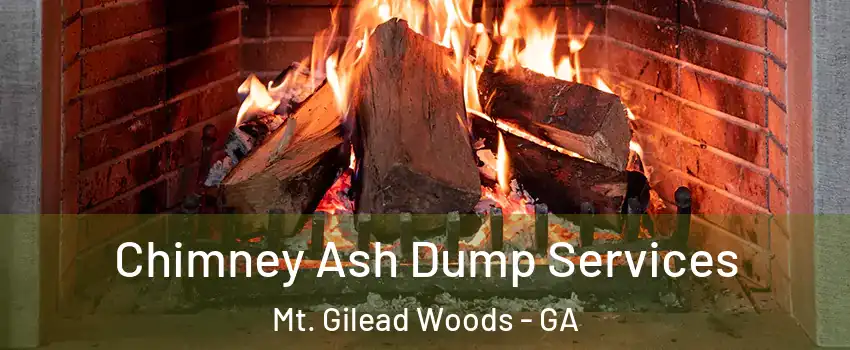 Chimney Ash Dump Services Mt. Gilead Woods - GA