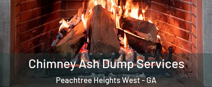 Chimney Ash Dump Services Peachtree Heights West - GA