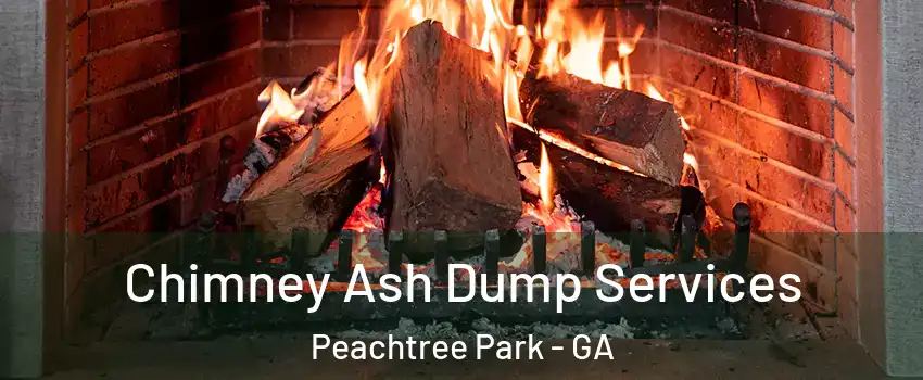 Chimney Ash Dump Services Peachtree Park - GA