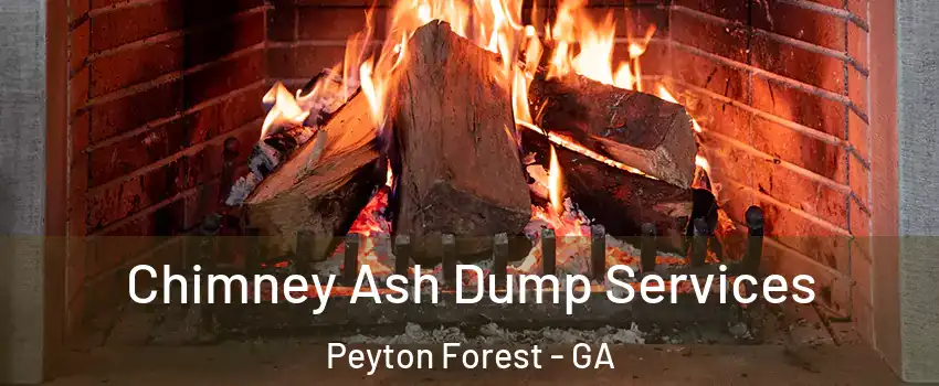 Chimney Ash Dump Services Peyton Forest - GA