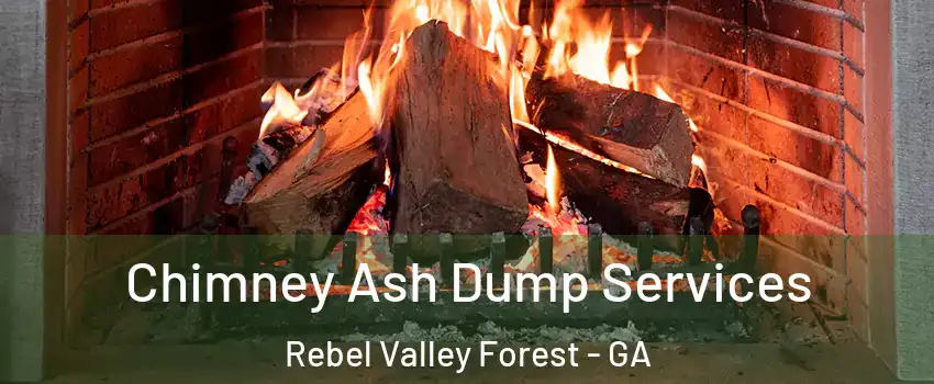 Chimney Ash Dump Services Rebel Valley Forest - GA