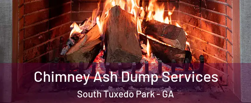 Chimney Ash Dump Services South Tuxedo Park - GA