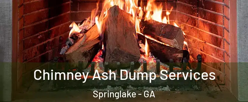 Chimney Ash Dump Services Springlake - GA