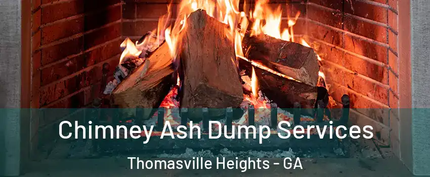 Chimney Ash Dump Services Thomasville Heights - GA