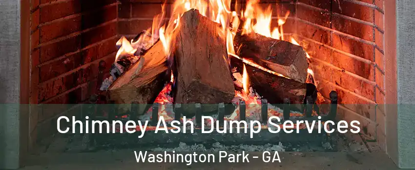 Chimney Ash Dump Services Washington Park - GA