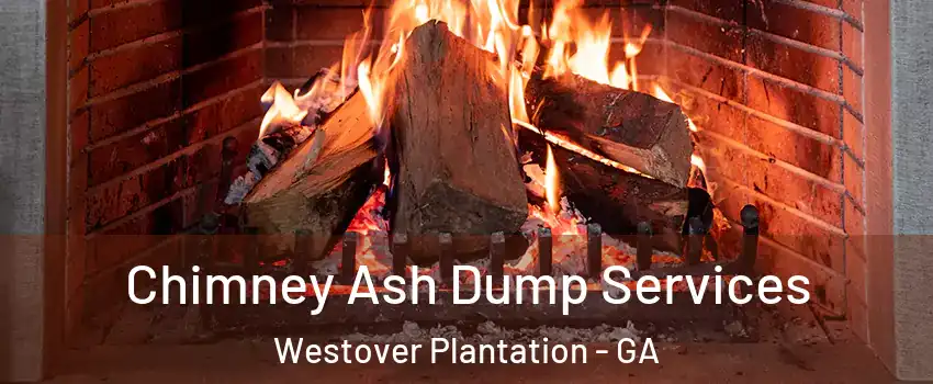 Chimney Ash Dump Services Westover Plantation - GA