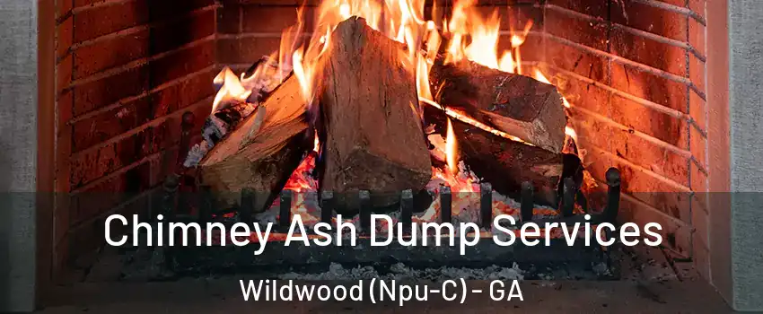 Chimney Ash Dump Services Wildwood (Npu-C) - GA