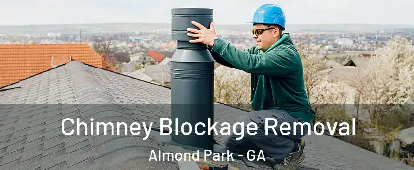 Chimney Blockage Removal Almond Park - GA