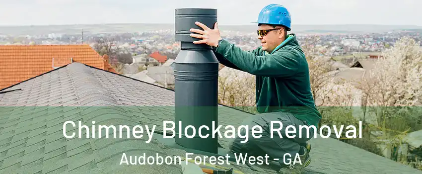 Chimney Blockage Removal Audobon Forest West - GA