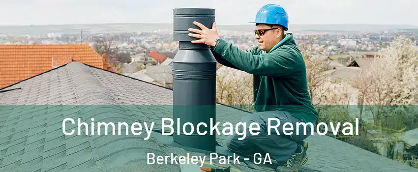 Chimney Blockage Removal Berkeley Park - GA