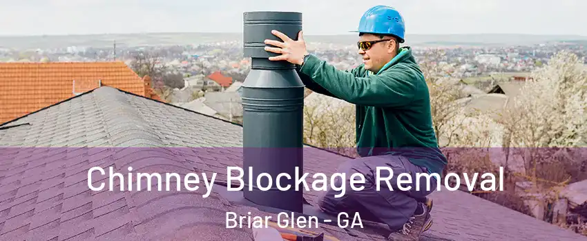 Chimney Blockage Removal Briar Glen - GA