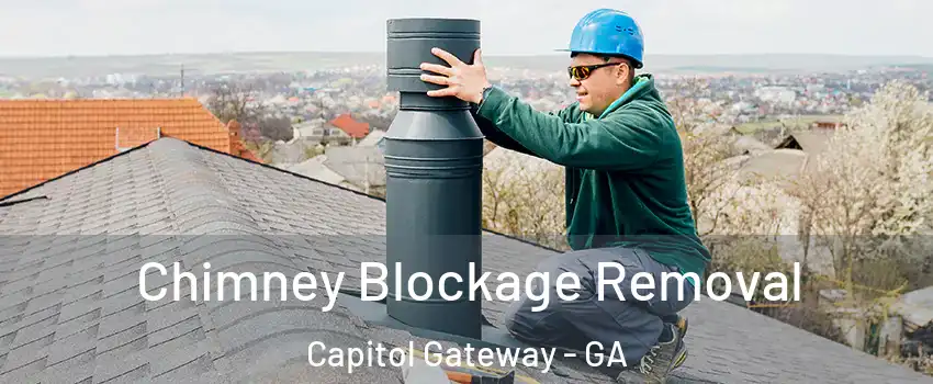 Chimney Blockage Removal Capitol Gateway - GA
