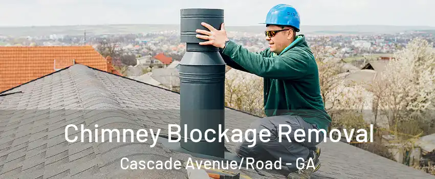 Chimney Blockage Removal Cascade Avenue/Road - GA