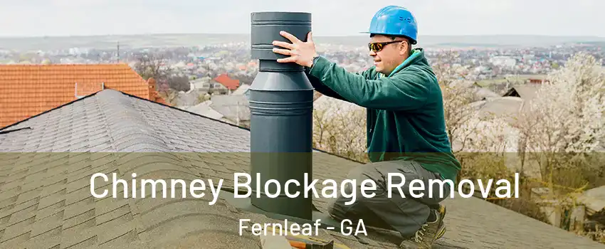 Chimney Blockage Removal Fernleaf - GA
