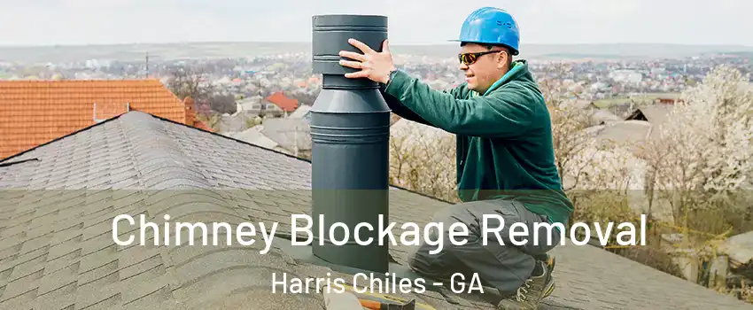 Chimney Blockage Removal Harris Chiles - GA