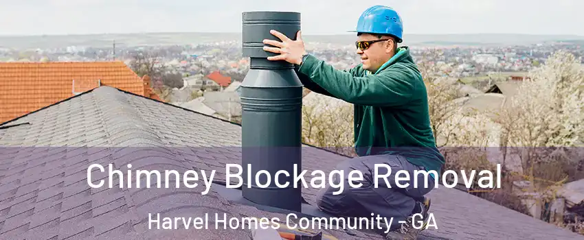 Chimney Blockage Removal Harvel Homes Community - GA