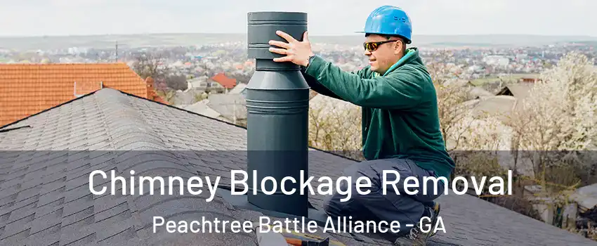 Chimney Blockage Removal Peachtree Battle Alliance - GA