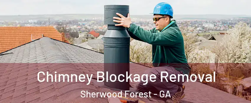 Chimney Blockage Removal Sherwood Forest - GA
