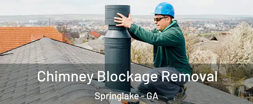 Chimney Blockage Removal Springlake - GA