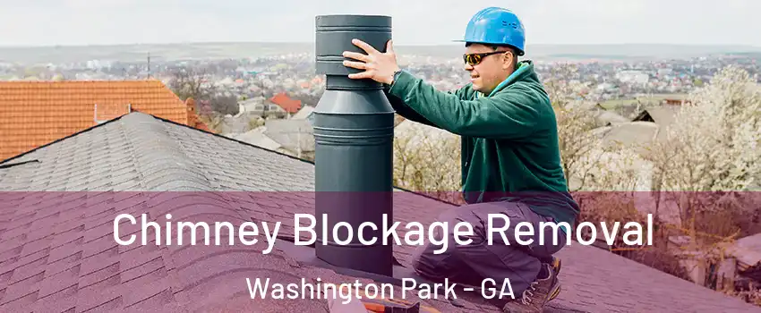 Chimney Blockage Removal Washington Park - GA