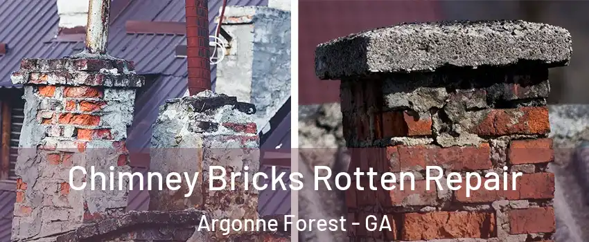 Chimney Bricks Rotten Repair Argonne Forest - GA