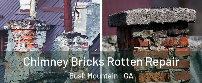 Chimney Bricks Rotten Repair Bush Mountain - GA