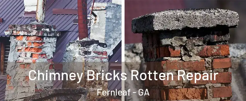 Chimney Bricks Rotten Repair Fernleaf - GA