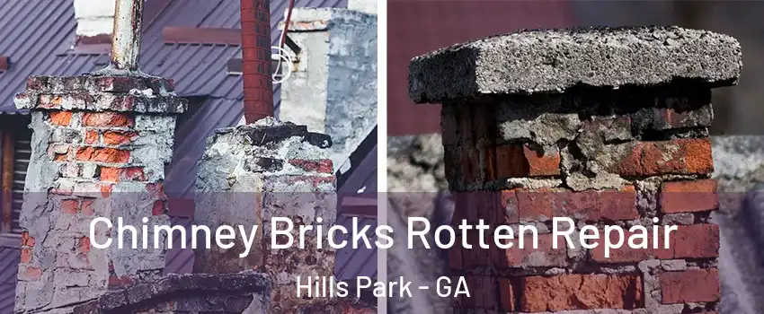 Chimney Bricks Rotten Repair Hills Park - GA
