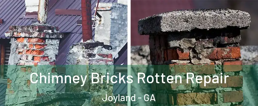 Chimney Bricks Rotten Repair Joyland - GA