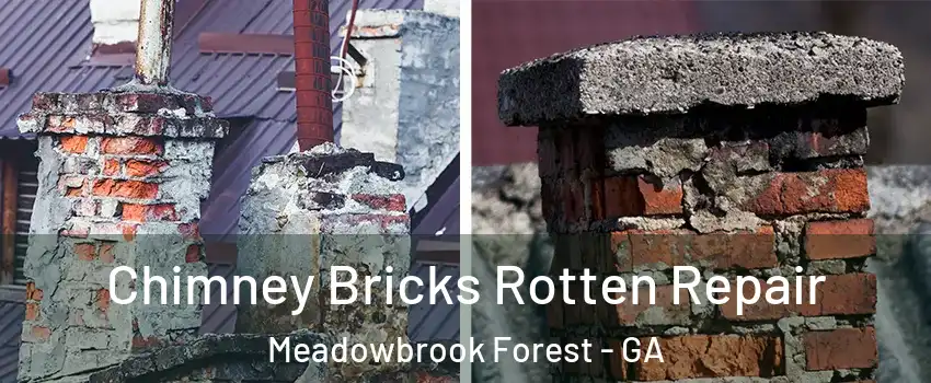 Chimney Bricks Rotten Repair Meadowbrook Forest - GA