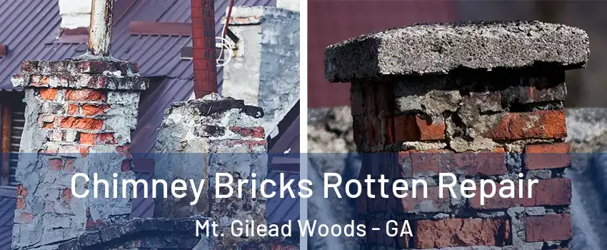 Chimney Bricks Rotten Repair Mt. Gilead Woods - GA