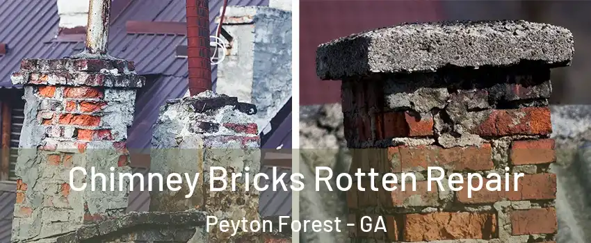 Chimney Bricks Rotten Repair Peyton Forest - GA