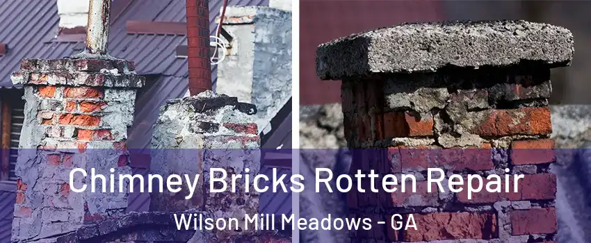 Chimney Bricks Rotten Repair Wilson Mill Meadows - GA
