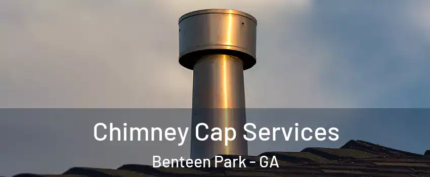 Chimney Cap Services Benteen Park - GA