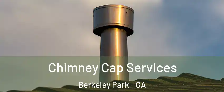 Chimney Cap Services Berkeley Park - GA