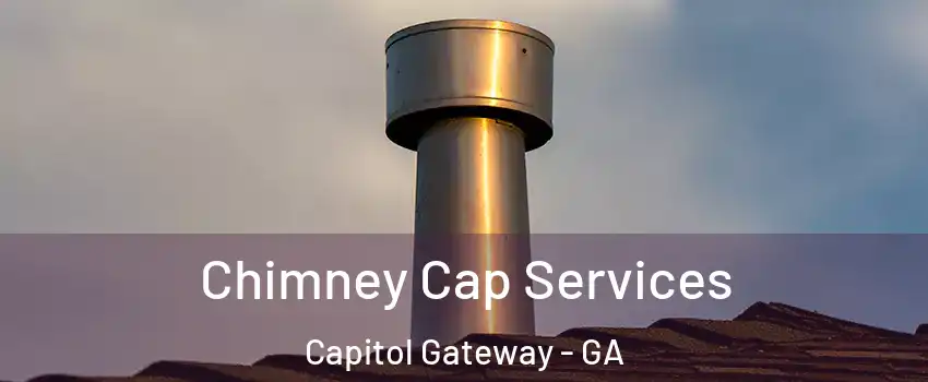 Chimney Cap Services Capitol Gateway - GA